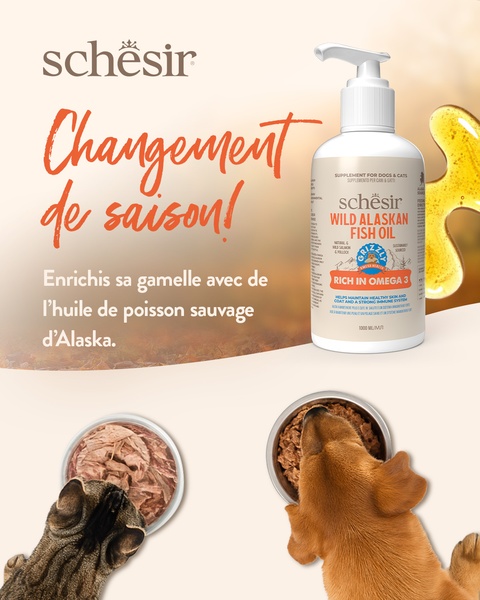 This 4:5 ad creative features a bottle of pet supplement alongside two bowls of food being eaten by a cat and a dog, framing the product as a seasonal nutritional upgrade.